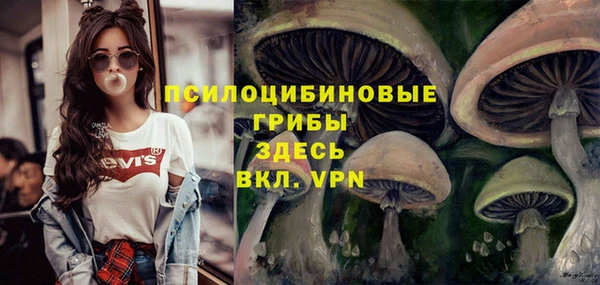 Альфа ПВП Остров