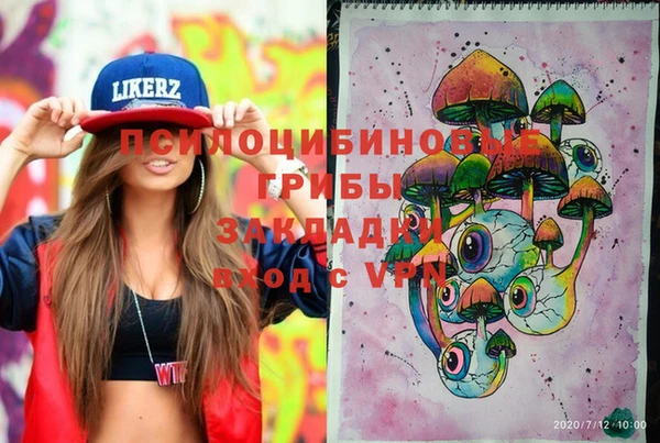 бошки Осинники