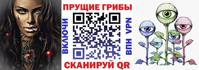где найти   MEGA маркетплейс  Галлюциногенные грибы мицелий  Ковылкино 